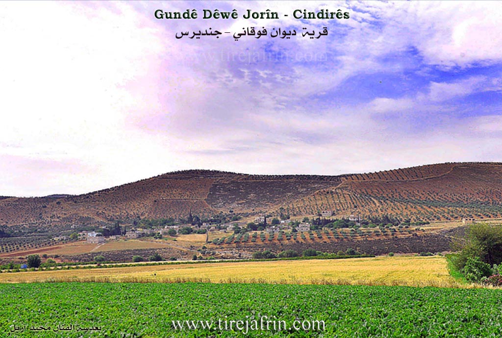 Photo of Dêwê Jorin